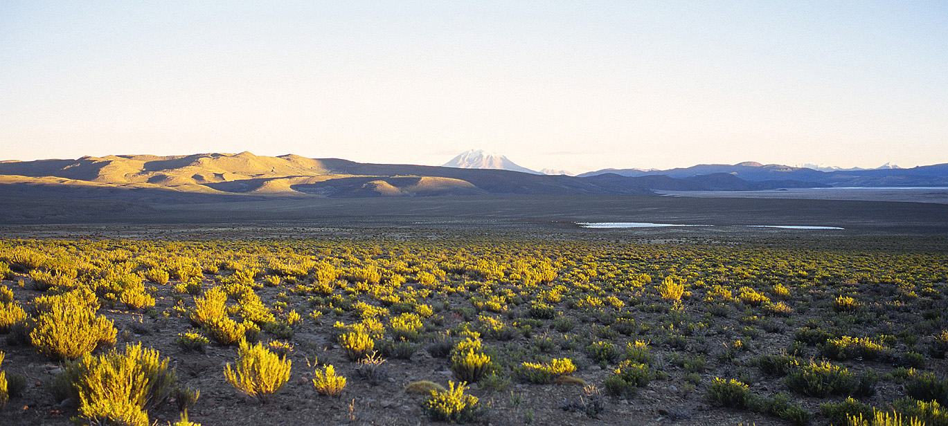 chi_5_05 frontera pano.jpg - sud-ouest Uyuni volcan Iruputunco en allant au pied du volcan pour la randonnée jusqu'au sommet